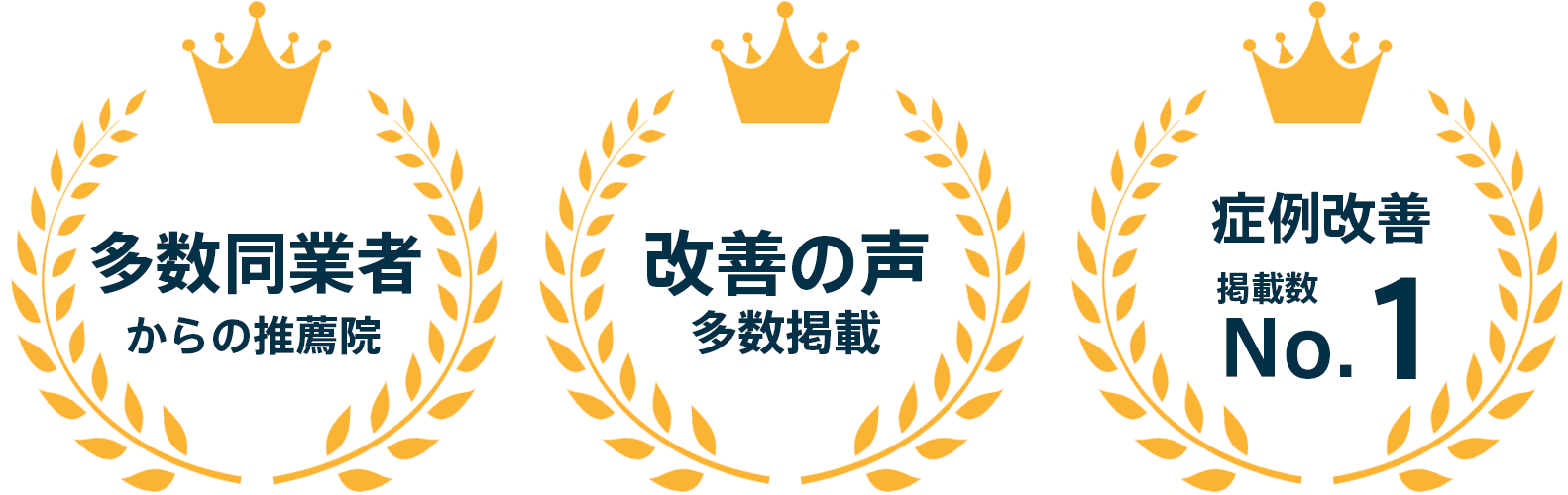 整体院大希の実績